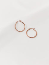 Cargar imagen en el visor de la galería, Arracadas sencillas